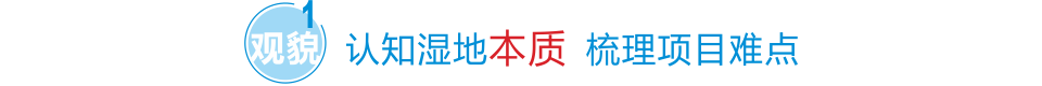 認(rèn)知濕地本質(zhì) 梳理項(xiàng)目難點(diǎn)
