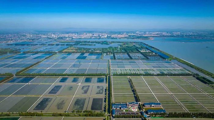 航拍高淳固城湖螃蟹核心區(qū)。高淳區(qū)融媒體中心供圖